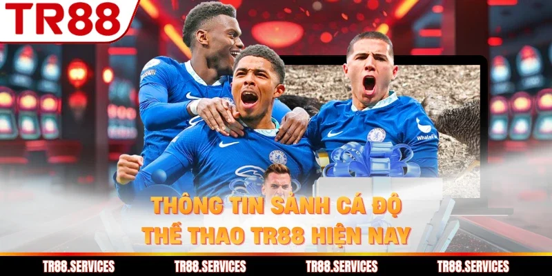 Thông tin sảnh cá độ thể thao TR88 hiện nay